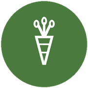 Légumes