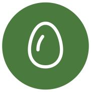 Oeufs