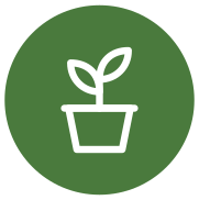 Pépinière, horticulture