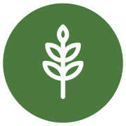 Plantes aromatiques, algues, spiruline...